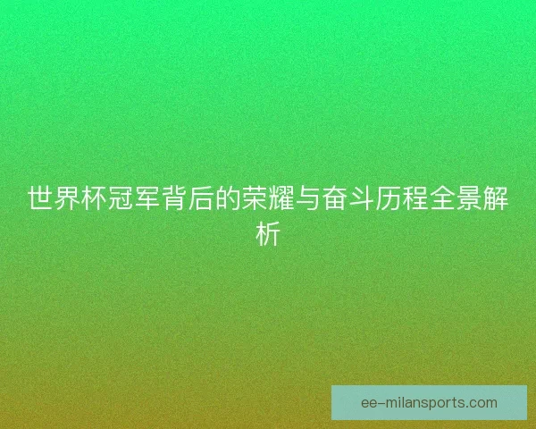 世界杯冠军背后的荣耀与奋斗历程全景解析